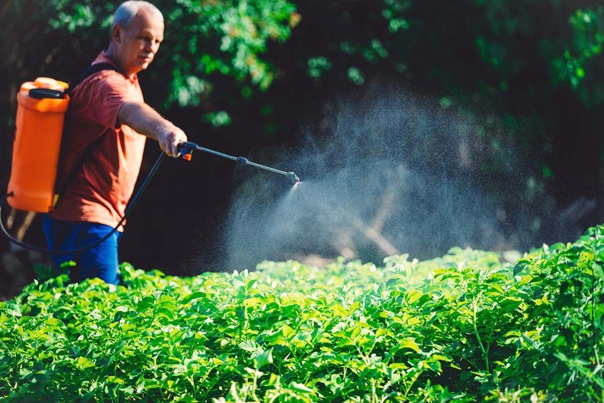 Roundup Lawsuits